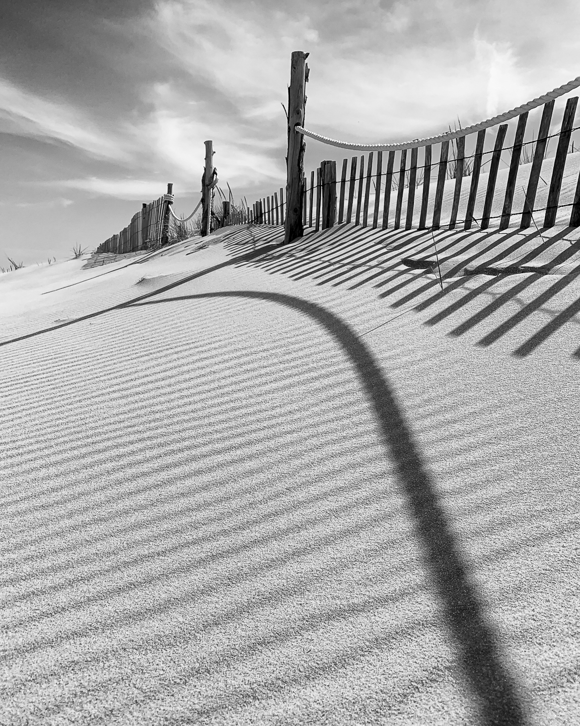 3rd Grand Award For Year End Open Mono In Class 3 By Doug Miller For Lines In The Sand With 24.5 Points in MAY-10-2023.jpg